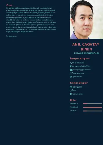 Ziraat Mühendisi Cv Örnekleri cv indir